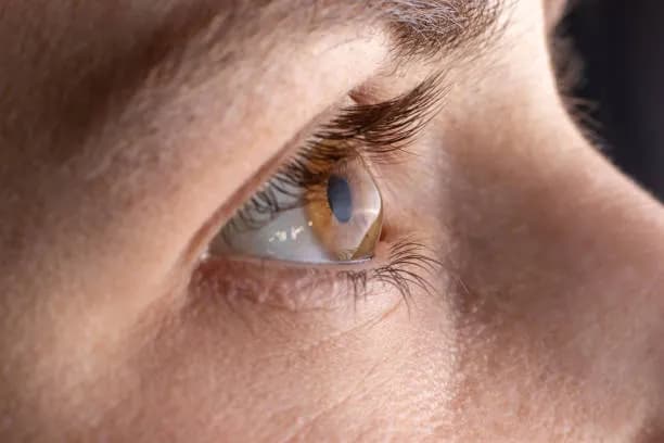The Different Types of Cornea Transplant: Which The Different Types of Cornea Transplant: Which One is Right for You?One is Right for You?